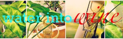 www.waterintowineblog.com