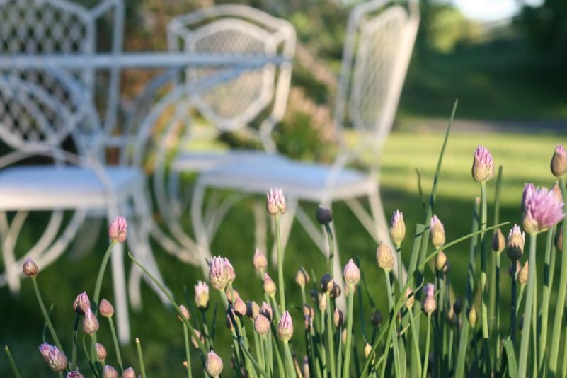 http://www.christiepurifoy.com/2017/05/25/gardenbound-a-maplehurst-tour/