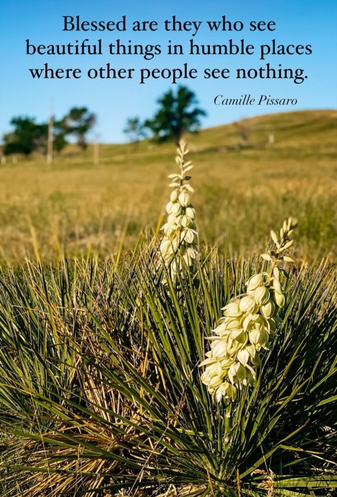 screenshot_20220630-111208_instagram1953015902065108337